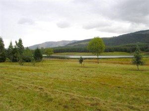 17.5 ha Land available in Karkloof