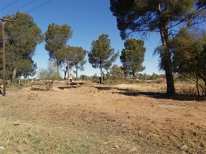 3.8 ha Smallholding in Bloemspruit