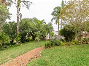7 ha Farm in White River
