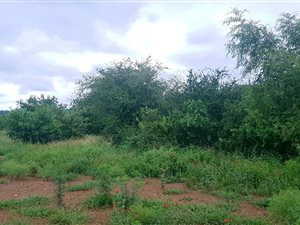 1380 m² Land available in The Ridge Estate