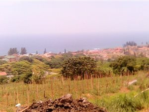 12.1 ha Land available in Genazzano