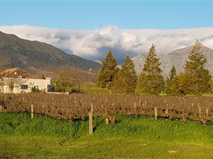 8.4 ha Farm in Wellington Central