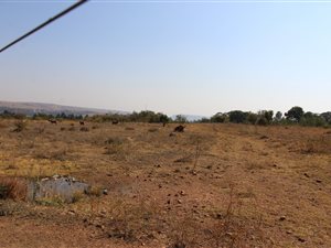 20 ha Farm in Rayton