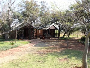 20 ha Farm in Rayton