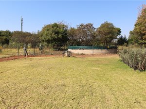20 ha Farm in Rayton