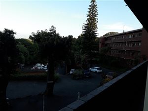 Studio Apartment in Westridge