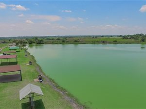 21 ha Farm in Wonderboom