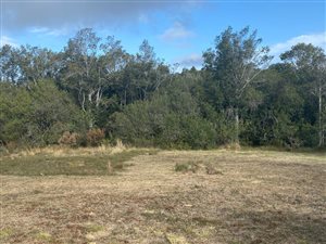 11.5 ha Land available in The Crags