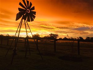 6.7 ha Farm in Koster