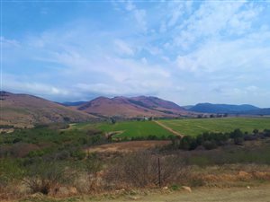 377.5 ha Farm in Kokstad