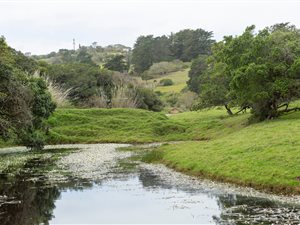 29.8 ha Farm in Port Elizabeth Central