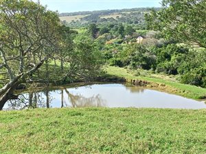 29.8 ha Farm in Port Elizabeth Central