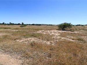 1 ha Land available in Lakeview