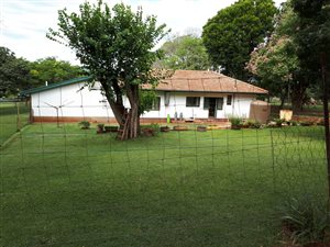 117 ha Farm in Pongola