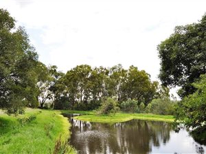 42 ha Farm in Kungwini Country Estate