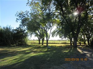 2.5 ha Farm in Vyfhoek