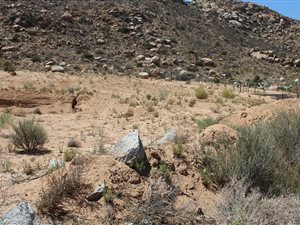 805 m² Land available in Springbok