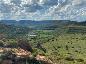 913 ha Farm in Aliwal North