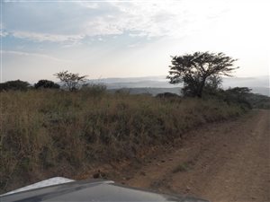470 ha Farm in Darnall