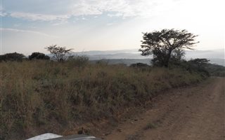 470 ha Farm in Darnall