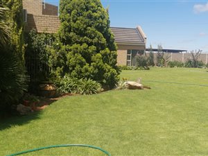 4 Bed House in Hennenman
