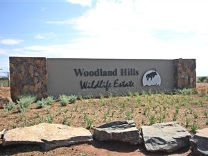 1000 m² Land available in Woodland Hills