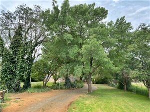 4 ha Farm in Roodewal and surrounds