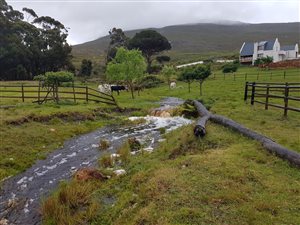 65.1 ha Farm in Stanford