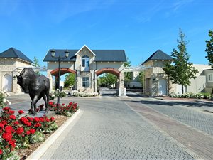 730 m² Land available in Koelenhof