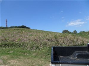 6.4 ha Farm in Woodgrange