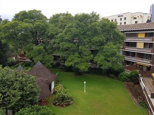 1 Bed Apartment in Sandown