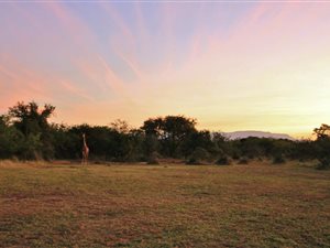 21 ha Farm in Guernsey