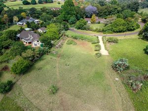 1 ha Land available in Forest Hills