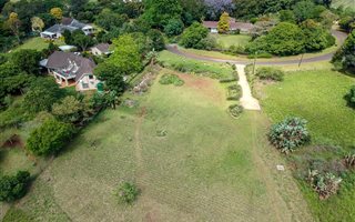 1 ha Land available in Forest Hills