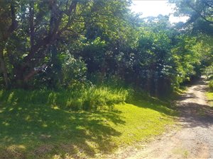 1203 m² Land available in Leisure Bay