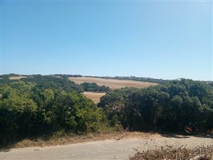 1150 m² Land available in Port Alfred
