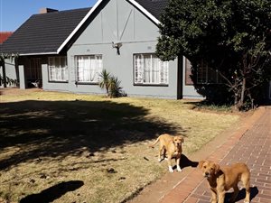3 Bed House in Beyers Park