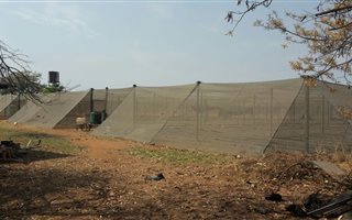 8.5 ha Farm in Onderstepoort