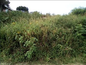 282 m² Land available in Lovu