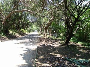 3952 m² Land available in Umtentweni