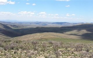 4534 ha Farm in Cradock