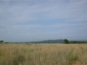 5056 m² Land available in Heatherdale