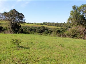 45 ha Farm in Eureka