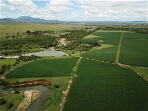 1480 ha Farm in Dundee