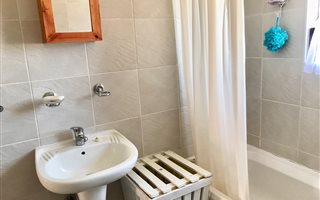 1 Bedroom Apartment in Albemarle