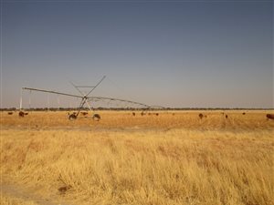 498 ha Farm in Vryburg
