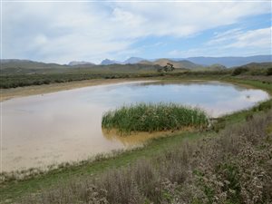 35 ha Farm in Montagu