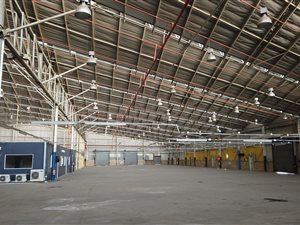 12722 m² Industrial space in Wynberg