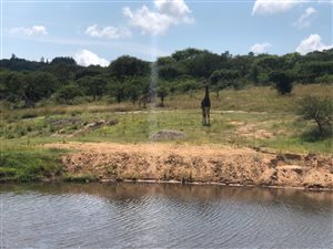 1 ha Land available in Wild Fig Estate
