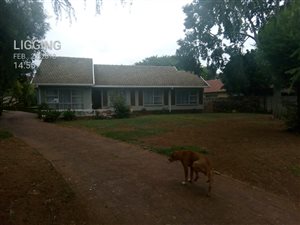 3 Bed House in Wierda Park